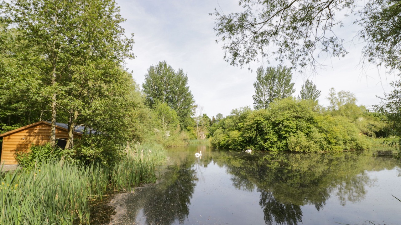 Photo of Others in Frankton