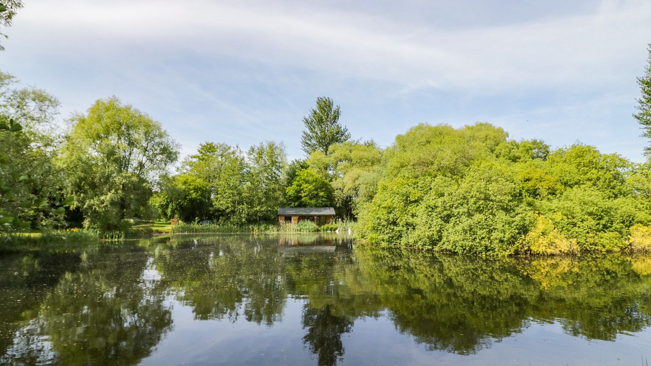 Photo of Others in Frankton