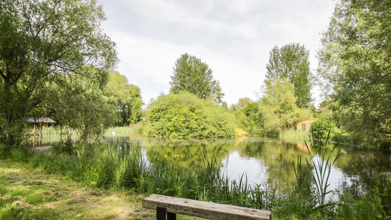 Photo of Others in Frankton