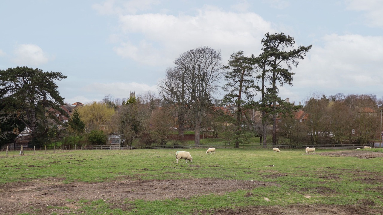 Photo of Outdoor in Folkingham