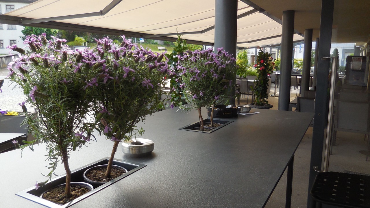 Photo of Outdoor in Rheineck