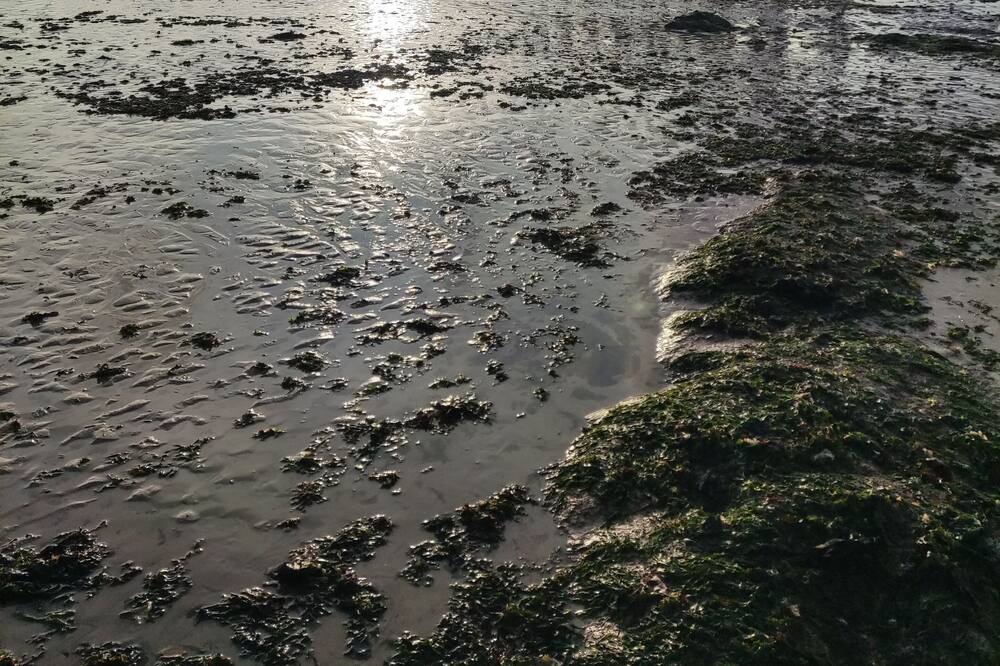Photo of Others in Luc-sur-Mer