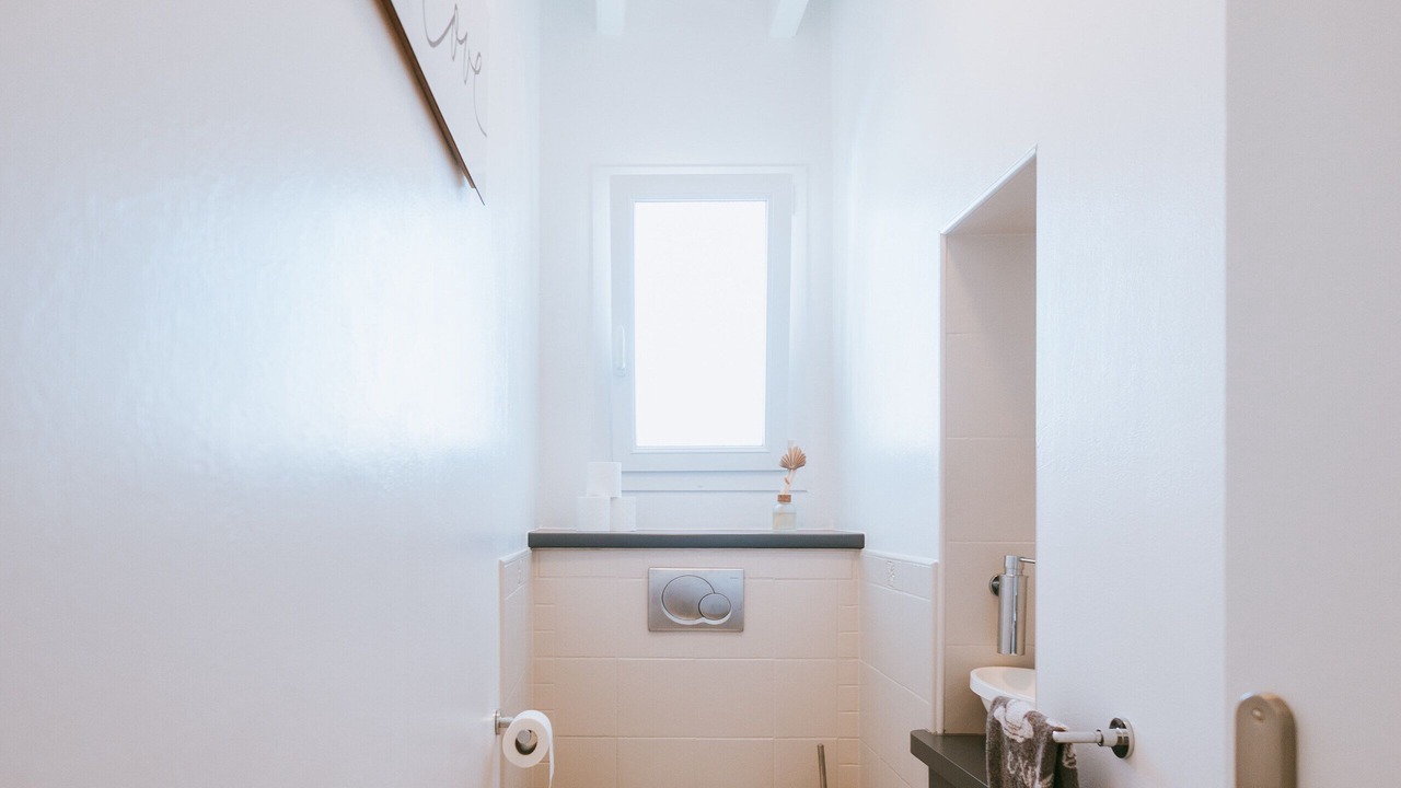 Photo of Others in Begaar