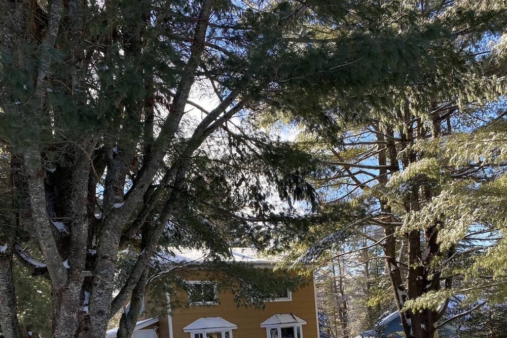 Photo of Outdoor in Saint-Alphonse-Rodriguez