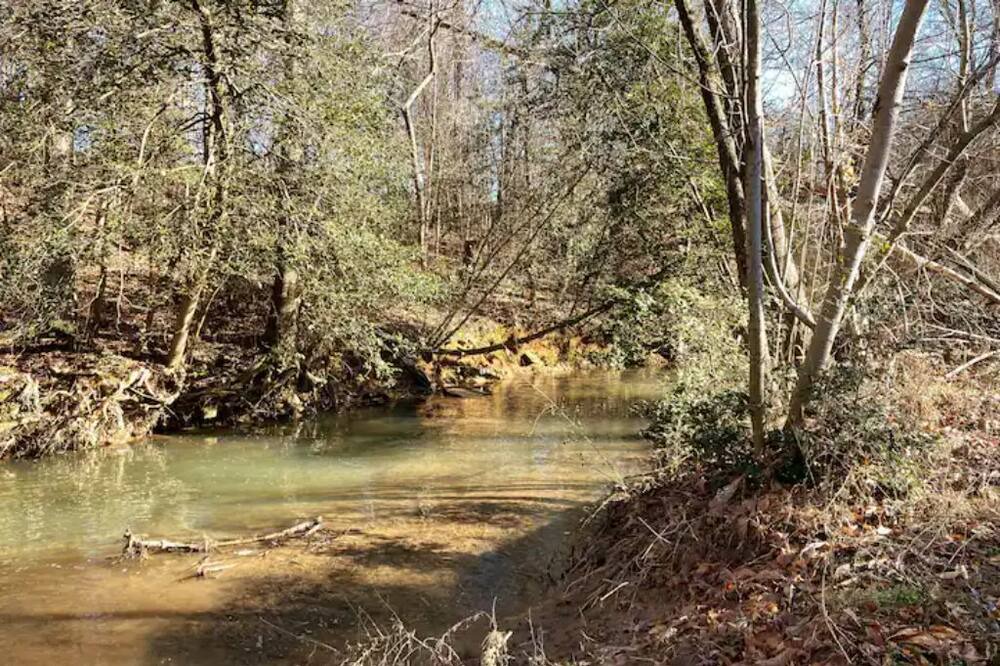 Photo of Others in Roaring River