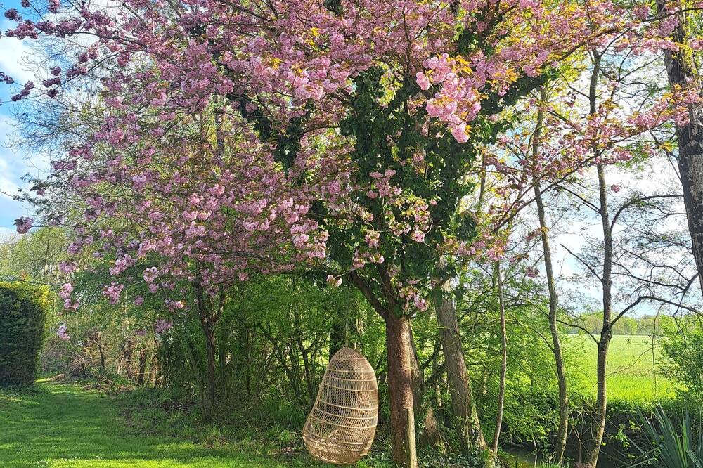 Photo of Outdoor in Champagnac