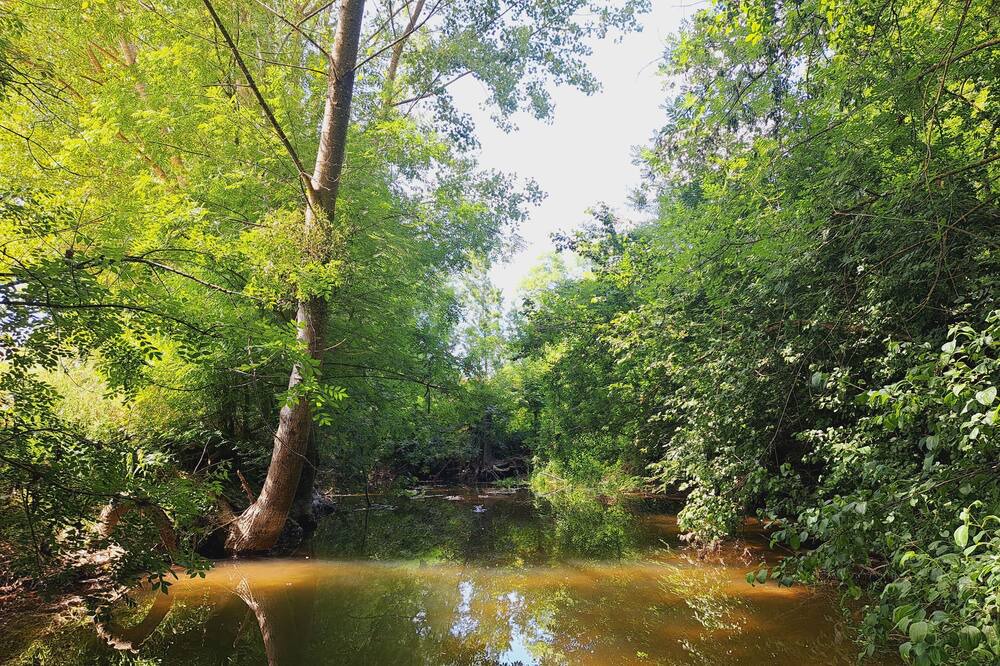 Photo of Others in Champagnac