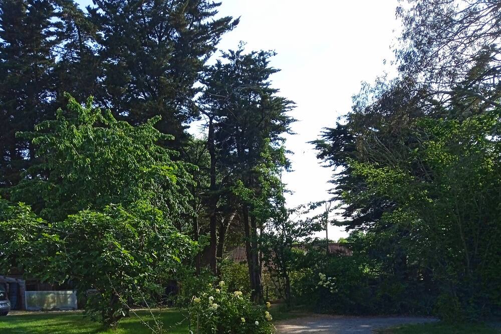 Photo of Outdoor in Chauve