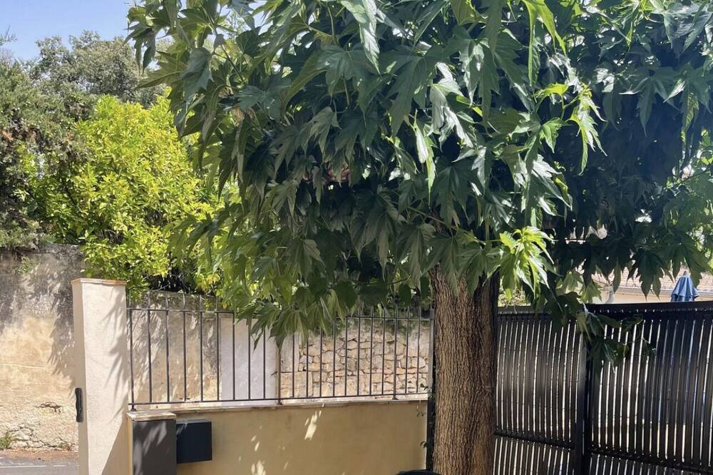 Photo of Outdoor in Castries