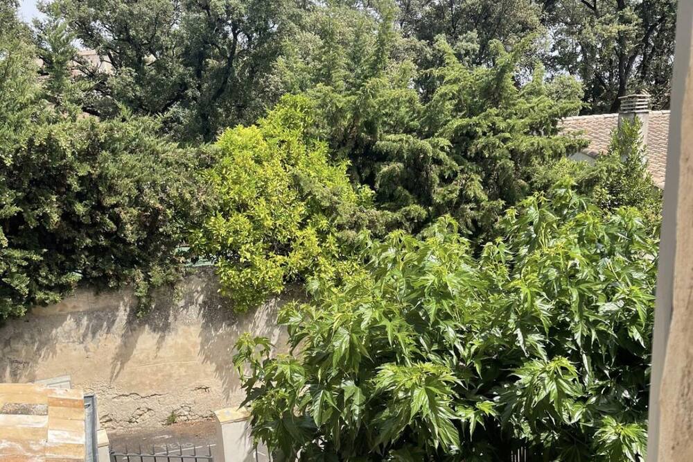 Photo of Outdoor in Castries