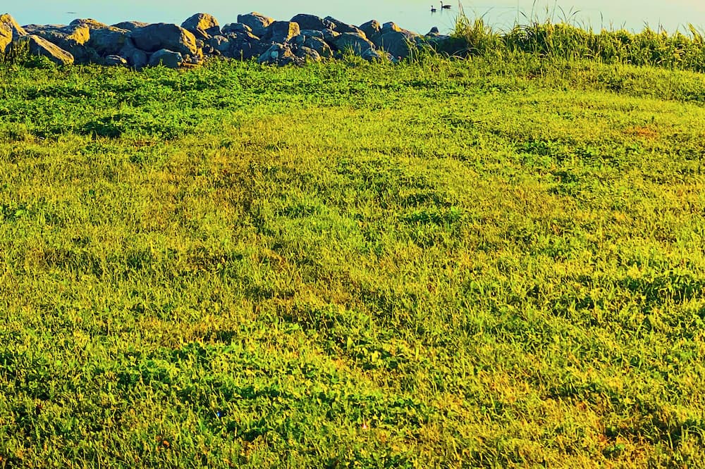 Photo of Outdoor in Cow Head