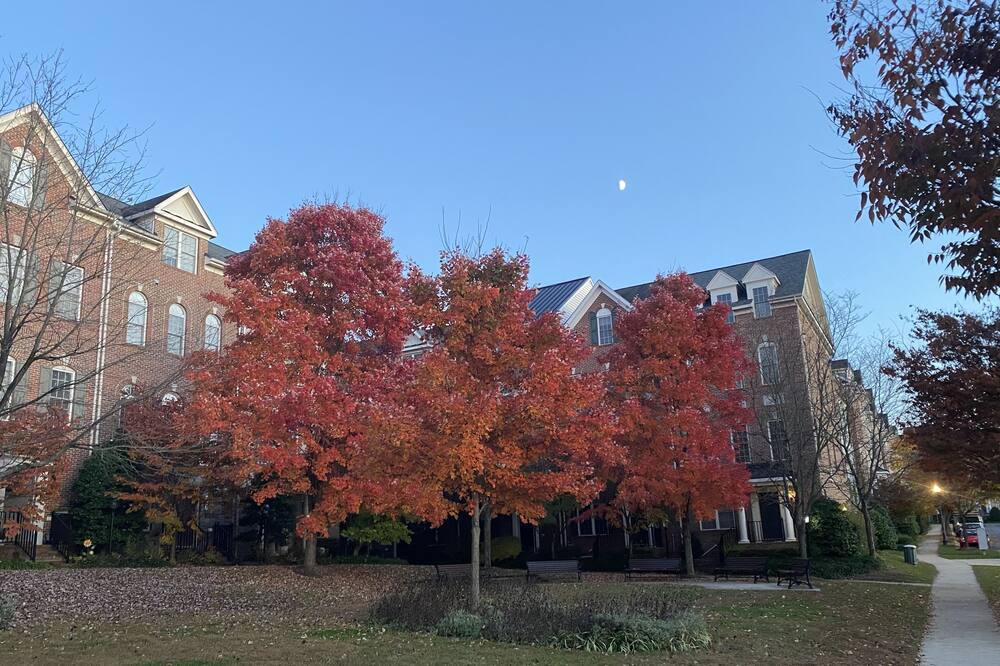 Photo of Outdoor in Gaithersburg