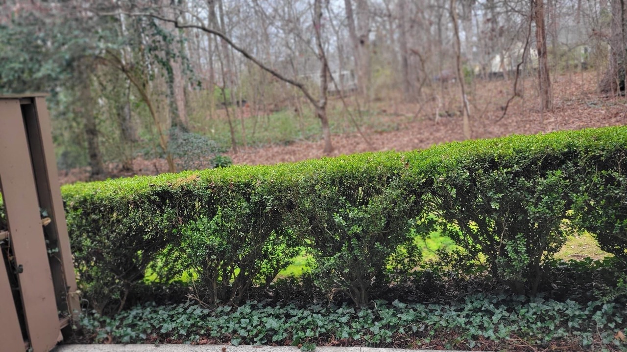 Photo of Outdoor in Chapel Hill