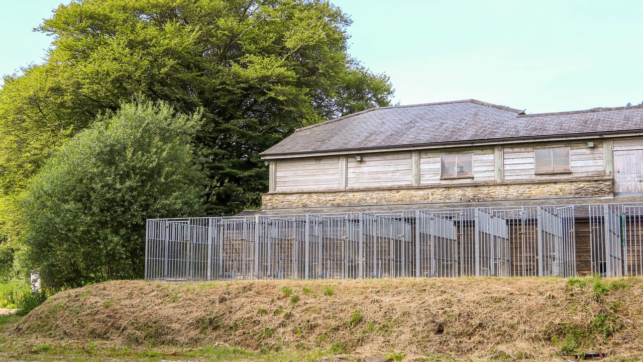 Photo of Outdoor in Exmoor National Park