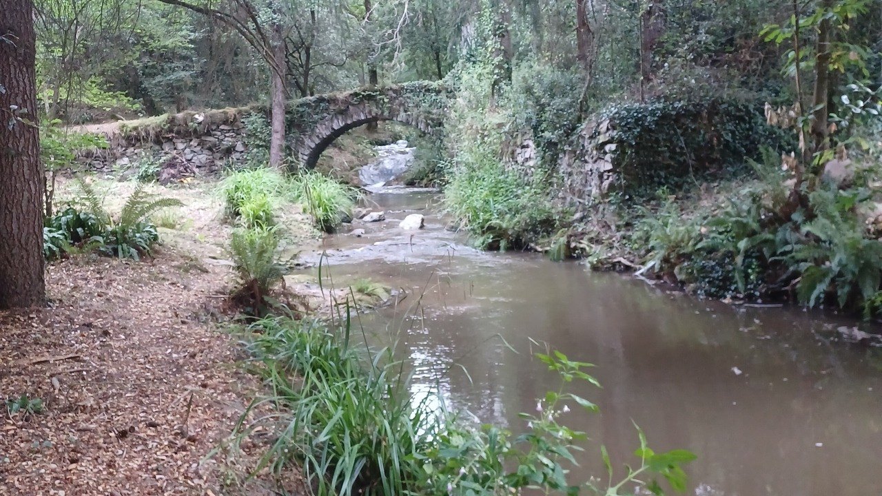 Photo of Outdoor in Verdun-en-Lauragais