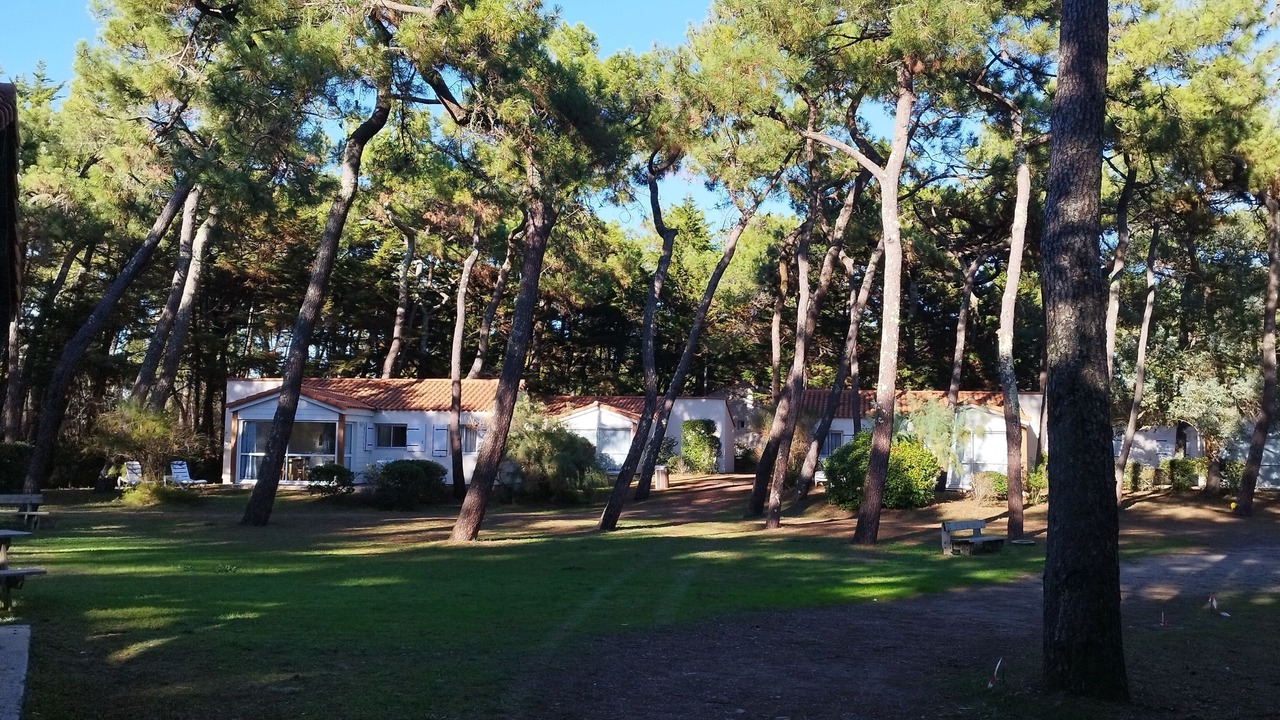 Photo of Outdoor in La Faute-sur-Mer
