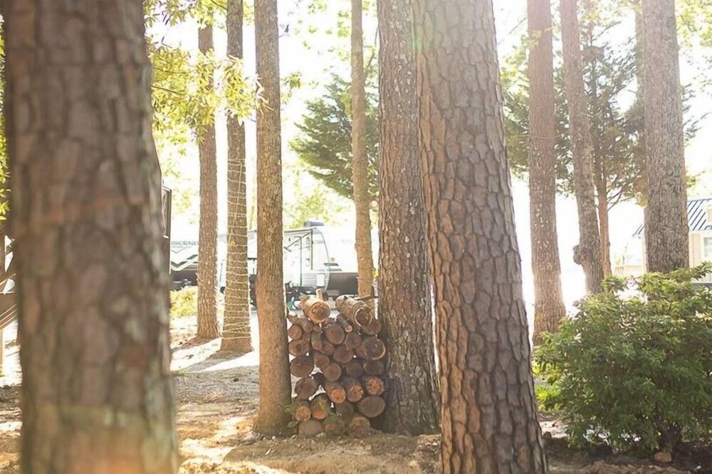 Photo of Others in Gadsden