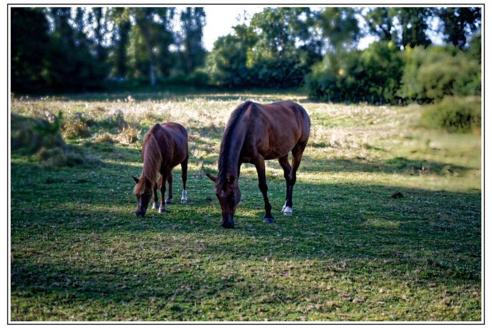 Photo of Outdoor in Montreuil-Juigne