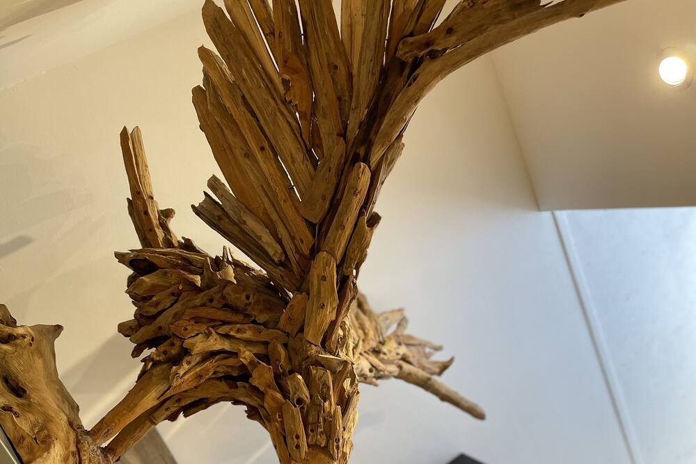 Photo of Others in Lamotte-Beuvron