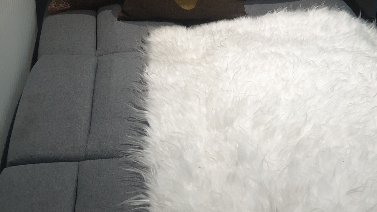 Photo of Others in Harehills