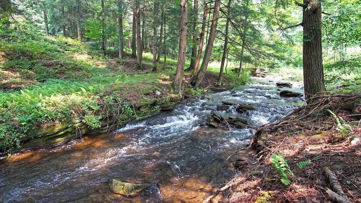 Photo of Outdoor in Margaretville