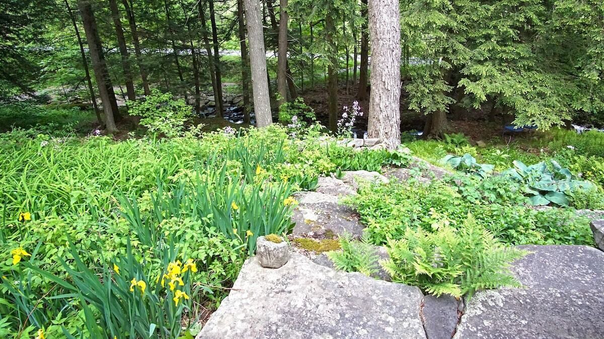 Photo of Outdoor in Margaretville