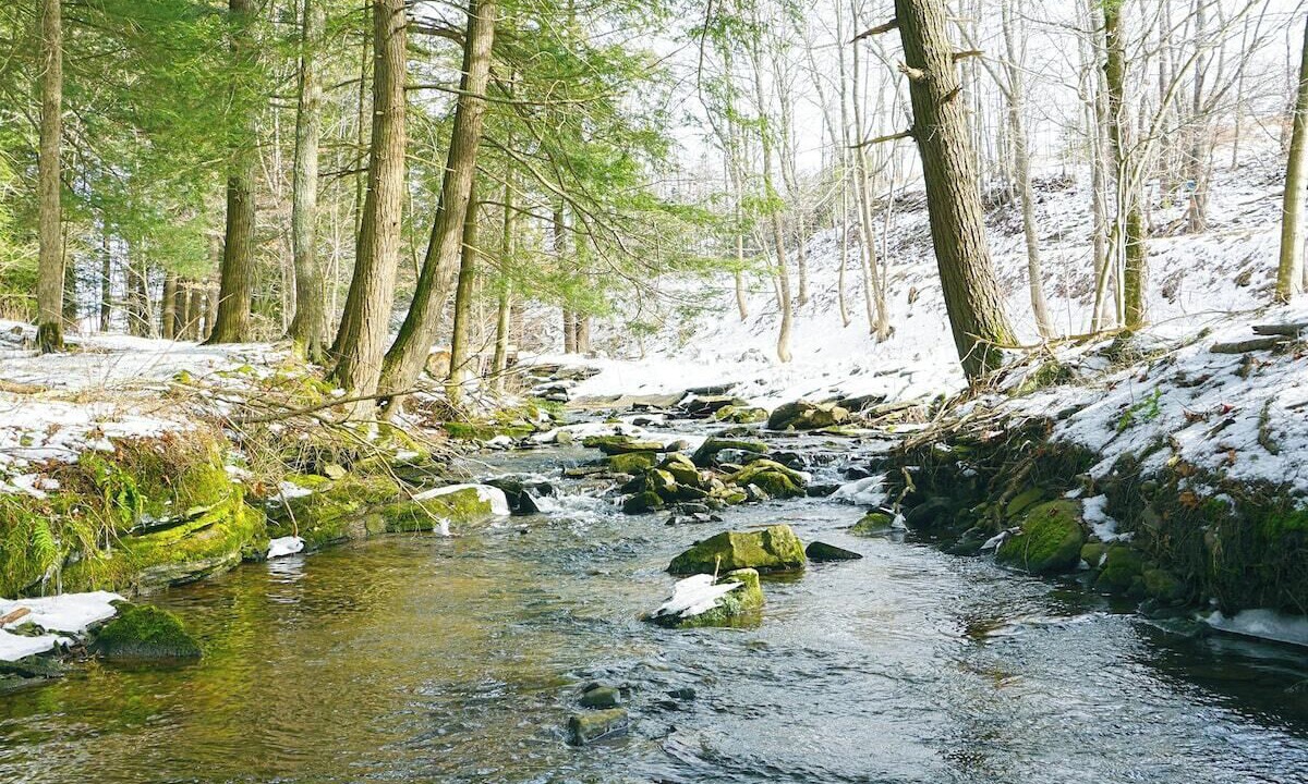Photo of Others in Margaretville