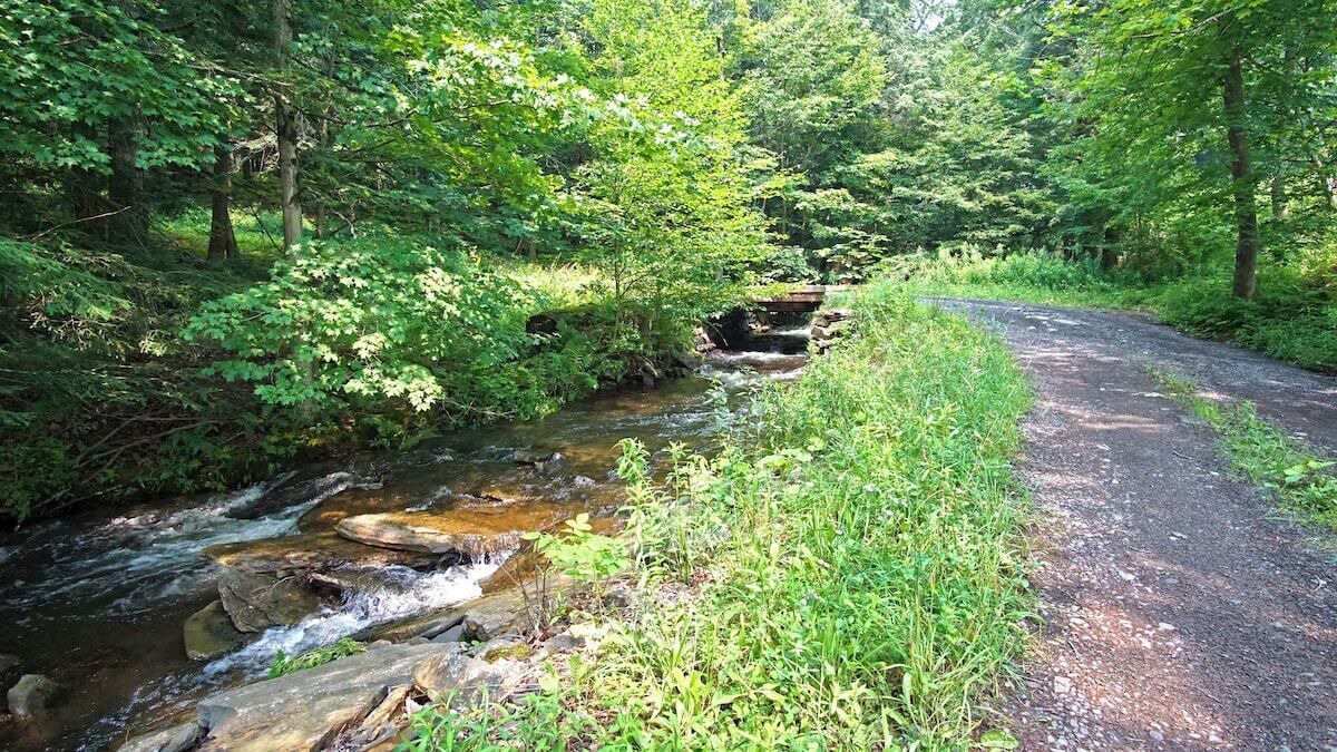 Photo of Outdoor in Margaretville
