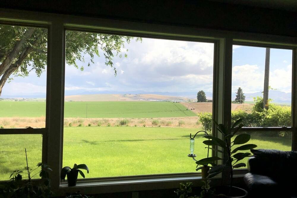 Photo of Others in Nampa