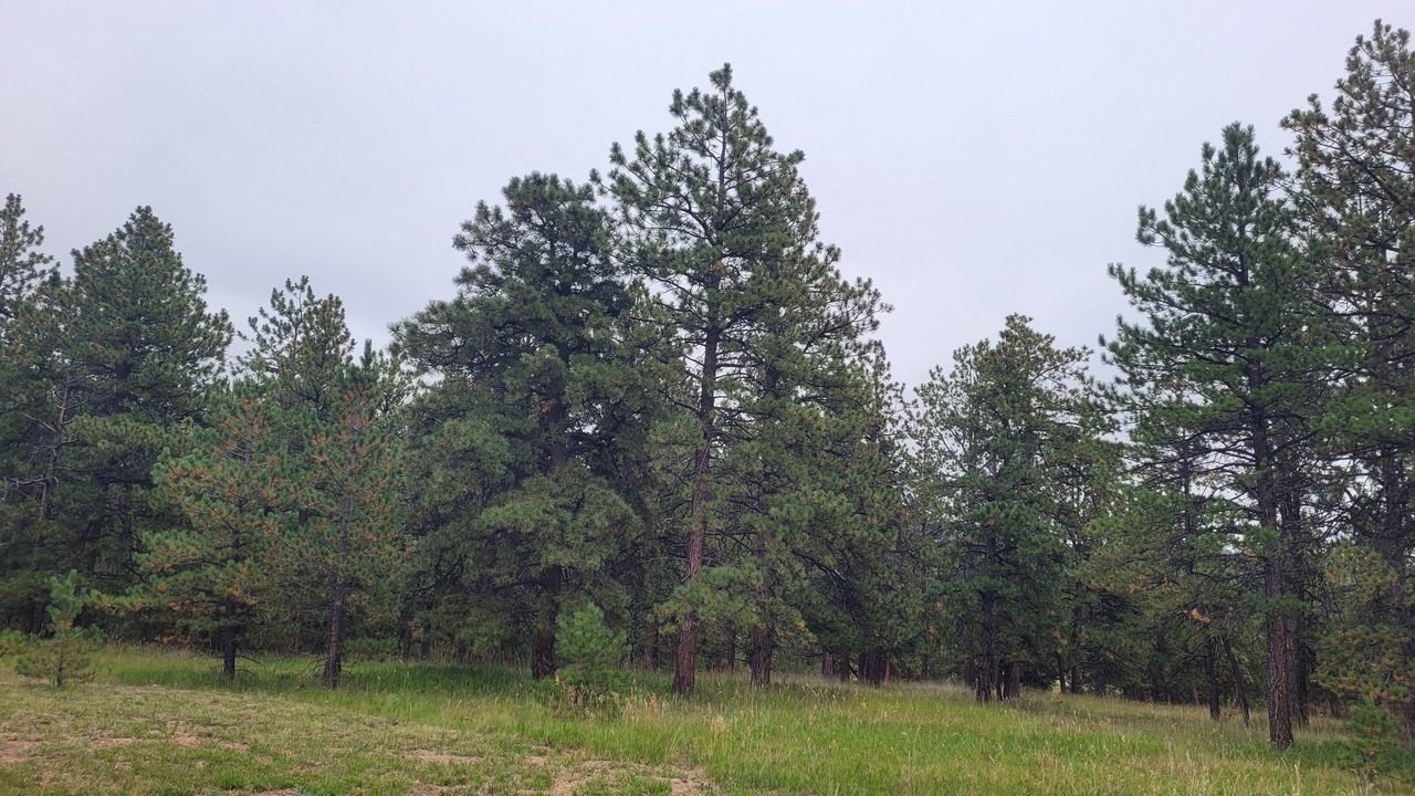 Photo of Outdoor in Westcliffe