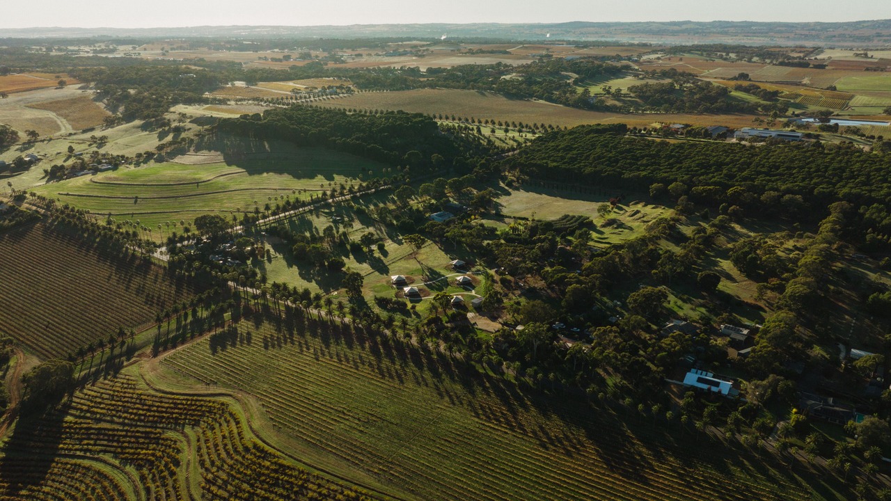 Photo of Outdoor in Seppeltsfield