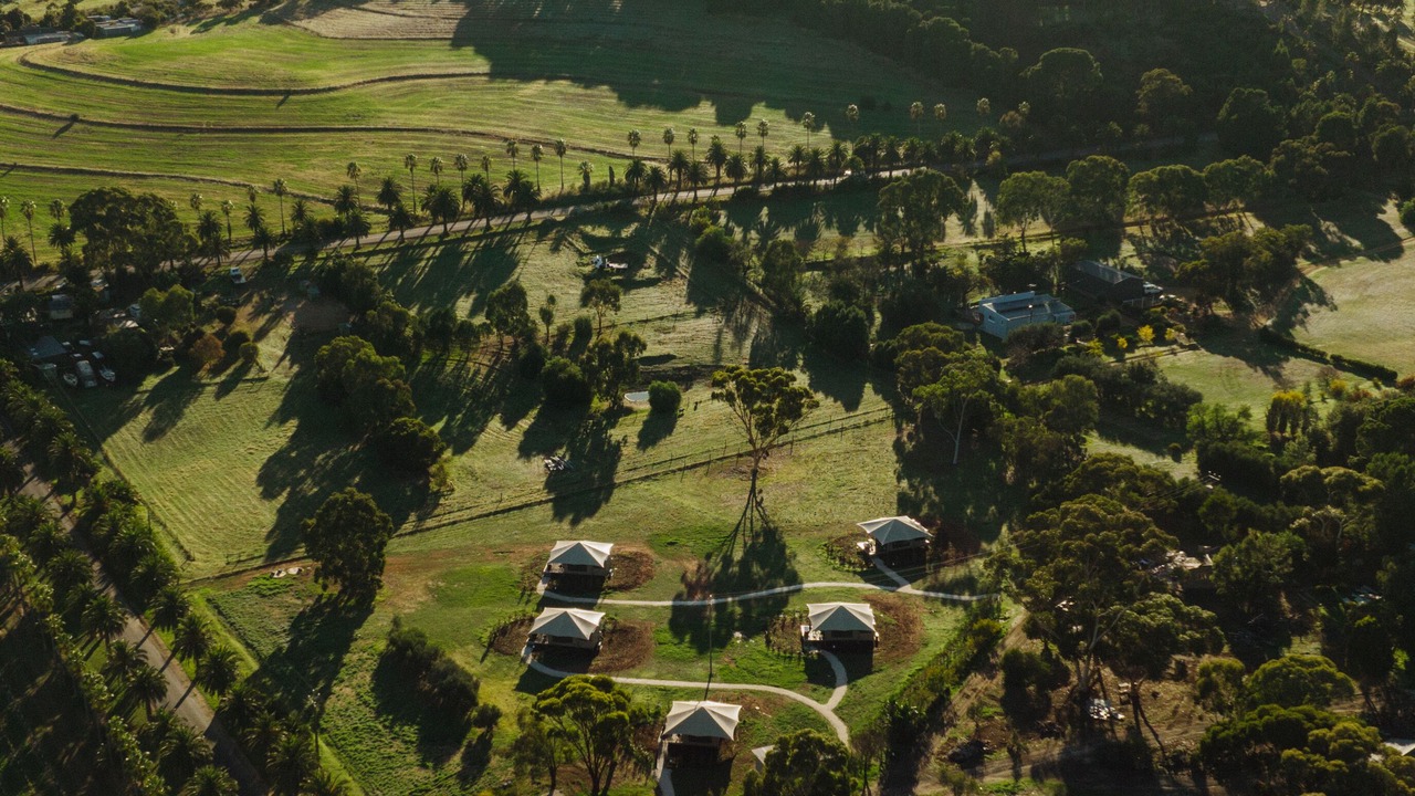 Photo of Outdoor in Seppeltsfield