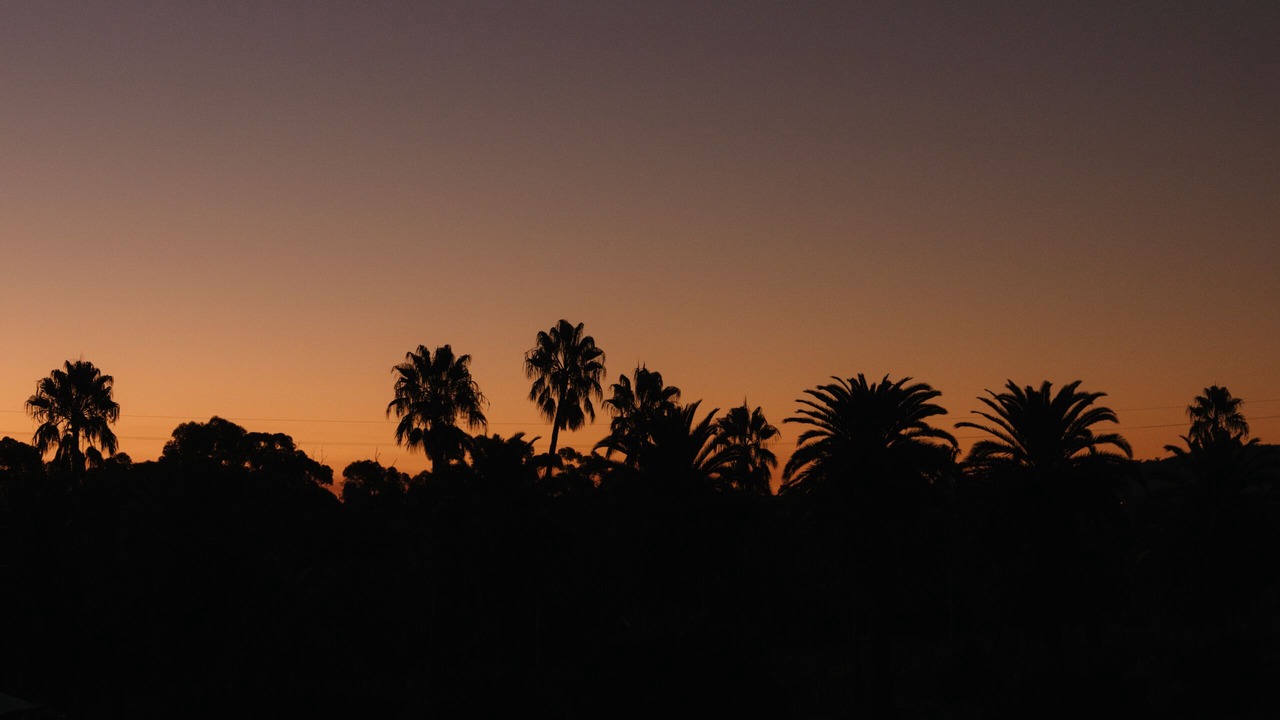 Photo of Others in Seppeltsfield