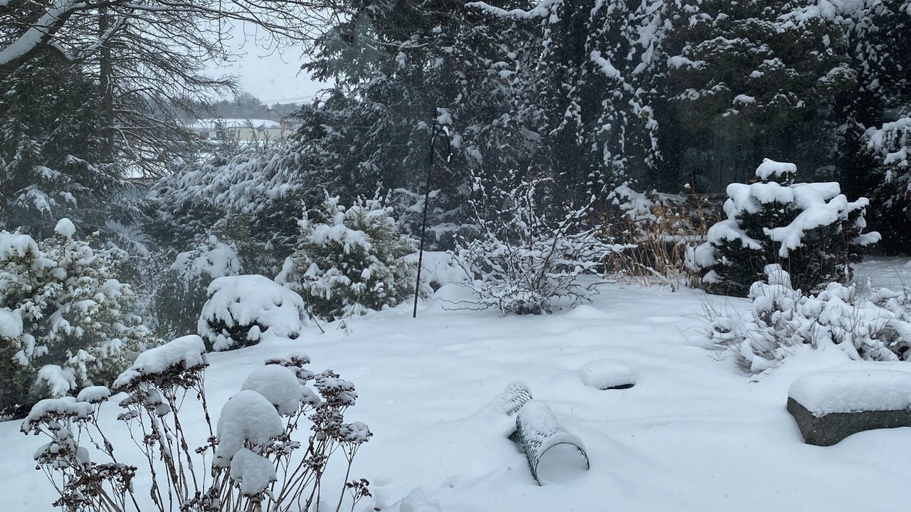 Photo of Outdoor in Morgantown