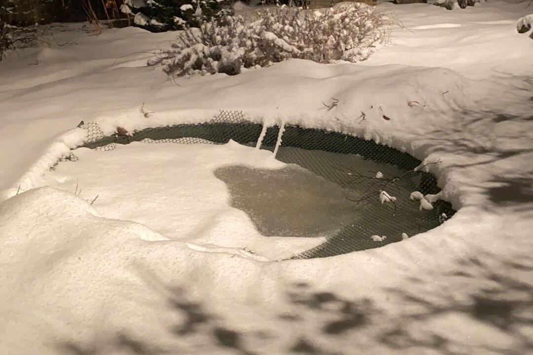 Photo of Others in Morgantown