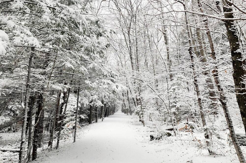 Photo of Outdoor in Palenville