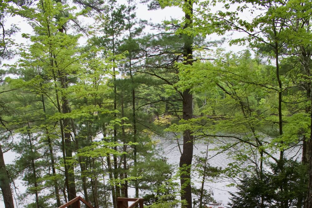 Photo of Outdoor in Tay Valley