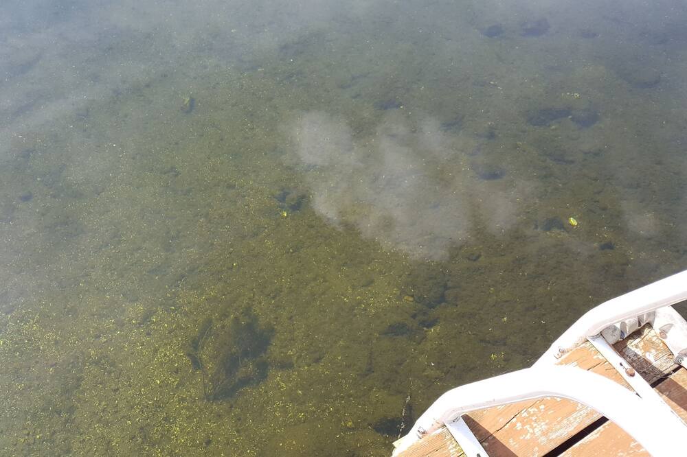 Photo of Others in Rideau Lakes