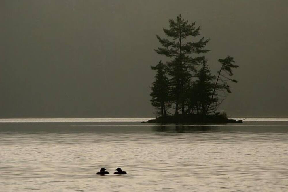 Photo of Others in Rideau Lakes