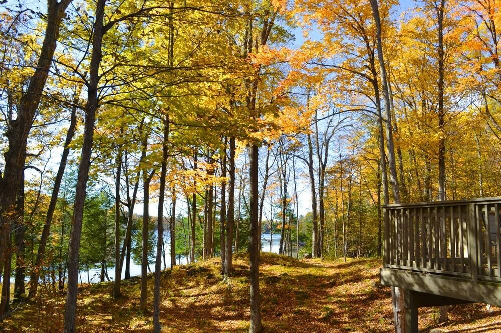 Photo of Others in Rideau Lakes