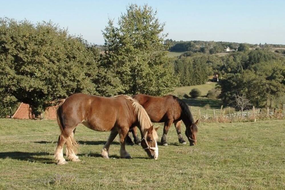 Photo of Others in Chatres