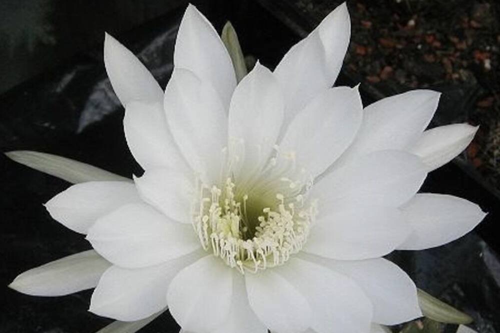 Photo of Others in Chatres