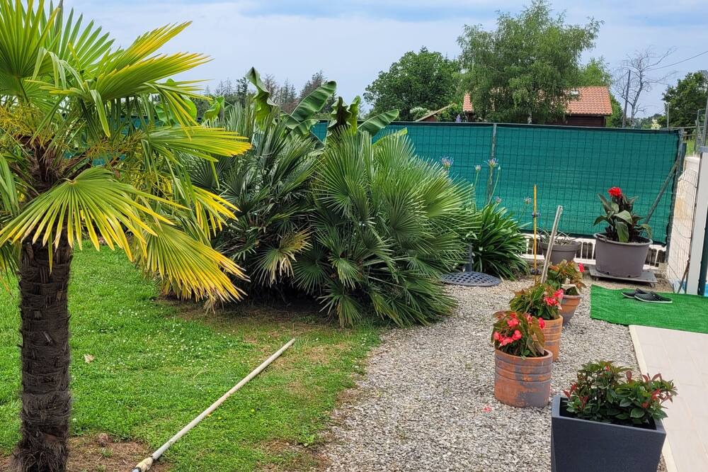 Photo of Outdoor in Chatres