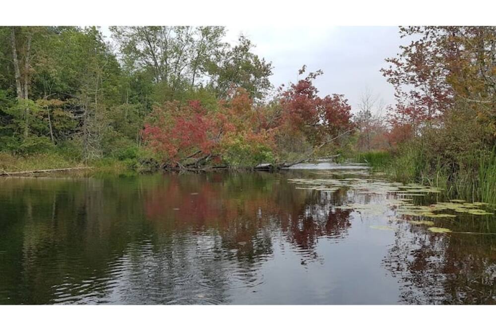 Photo of Outdoor in Tyendinaga