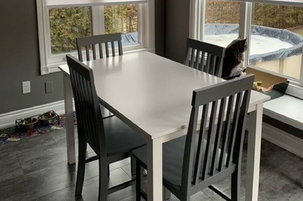 Photo of Others in Courtice