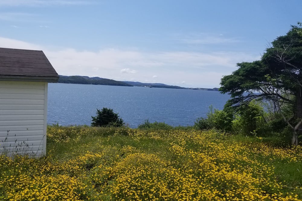 Photo of Outdoor in Arnold's Cove