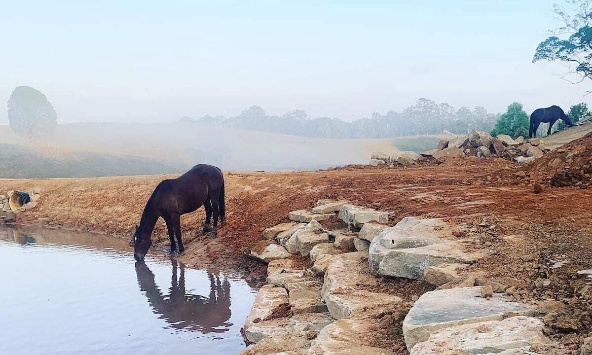 Photo of Outdoor in Fernvale