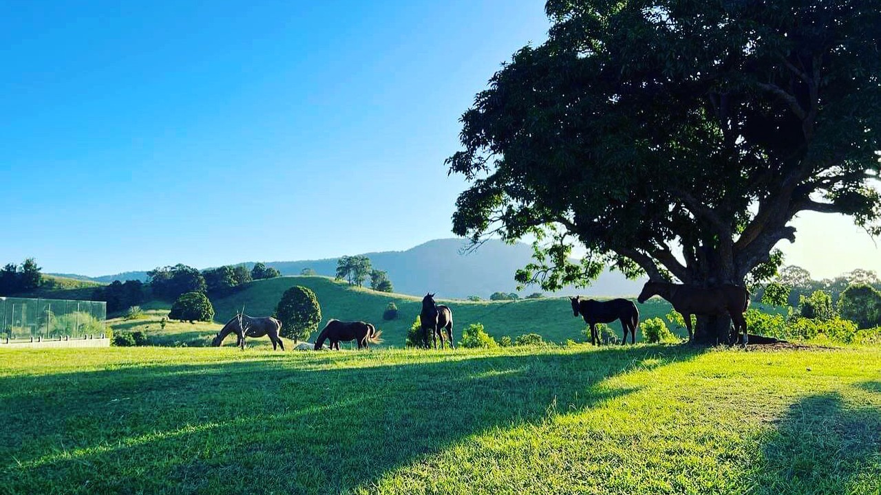 Photo of Others in Fernvale