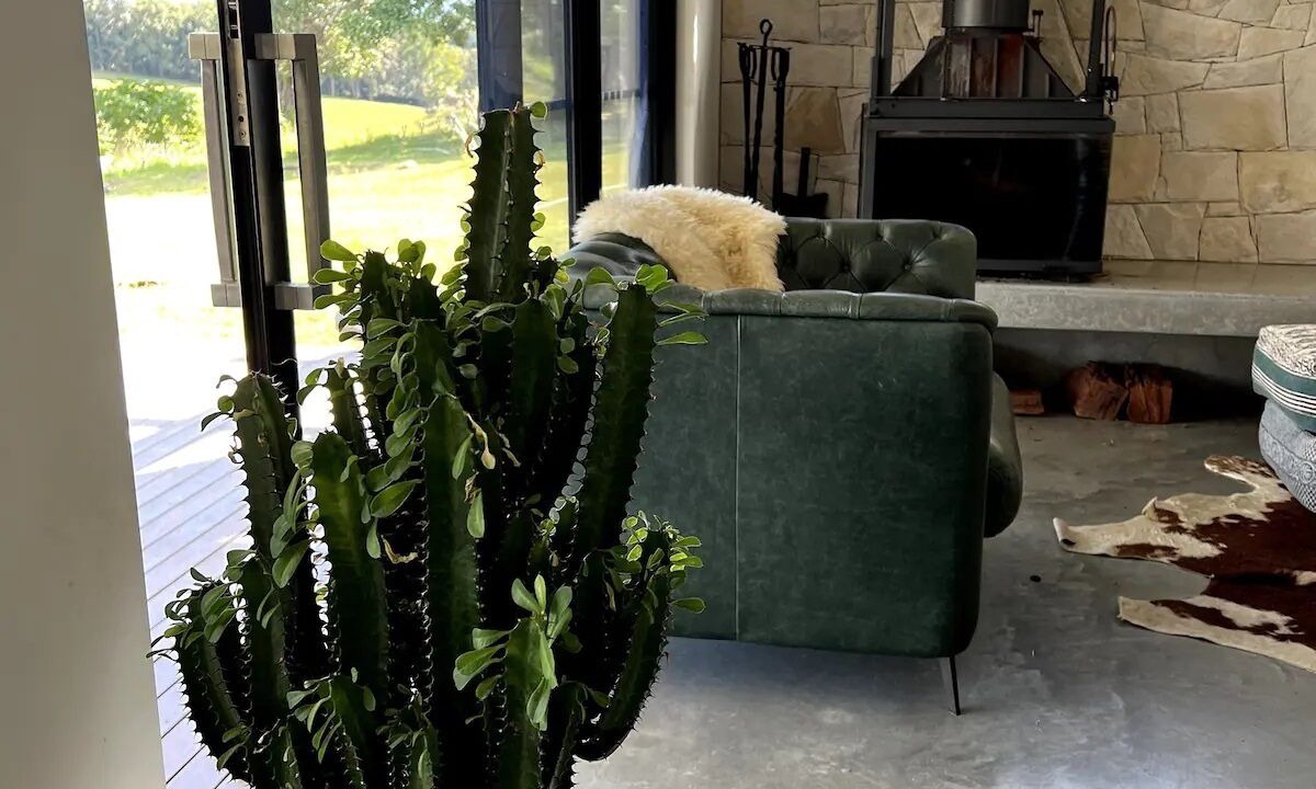 Photo of Others in Fernvale