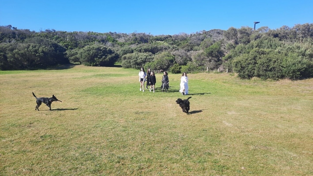 Photo of Others in Fingal